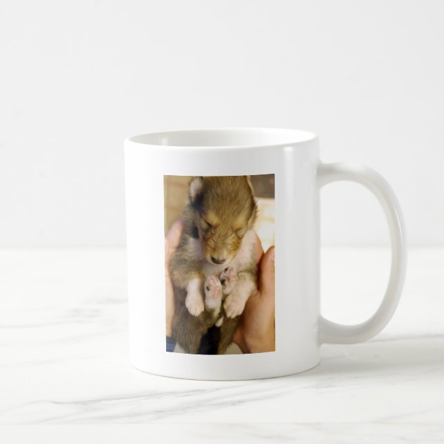 Neugeborener Collie-Welpe Tasse (Rechts)