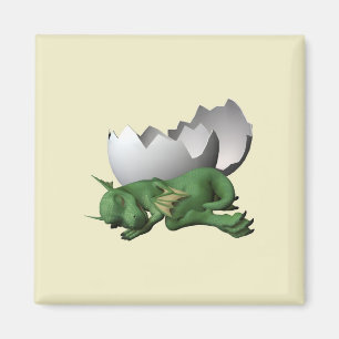 Neugeborener Drache Magnet