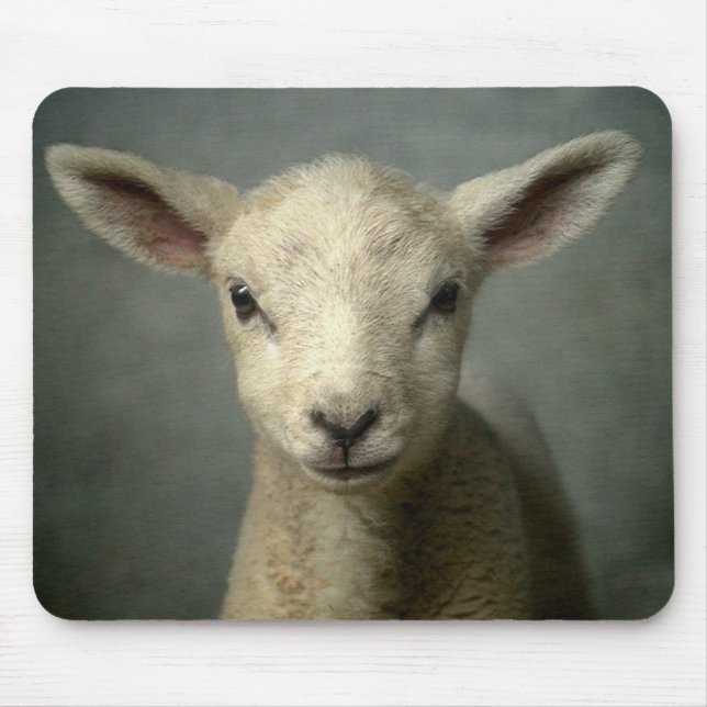 Neugeborenes Lamm Mousepad (Vorne)