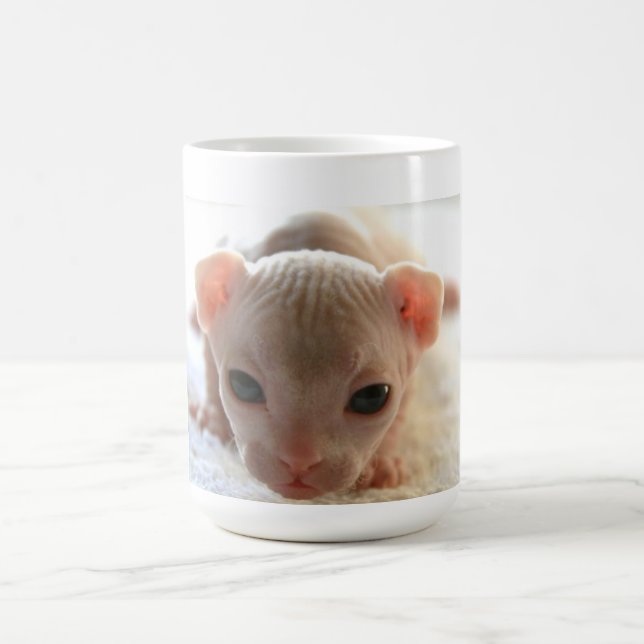 Neugeborenes Sphinxkätzchen Kaffeetasse (Mittel)