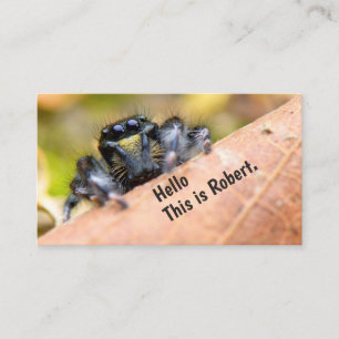 Neugier Intrigued Hello (Original Image) © Visitenkarte