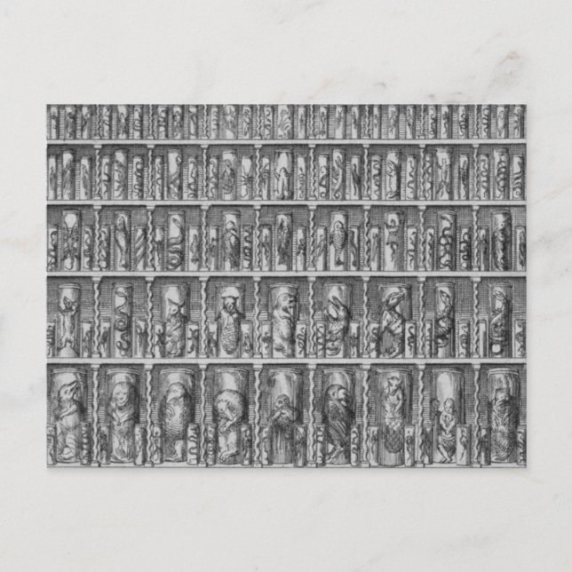 Neugier Postkarte (Vorderseite)