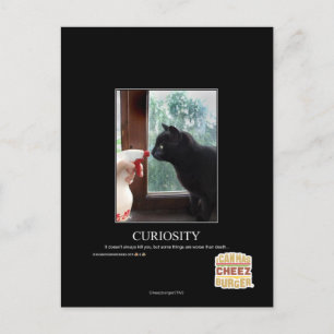 Neugier Postkarte