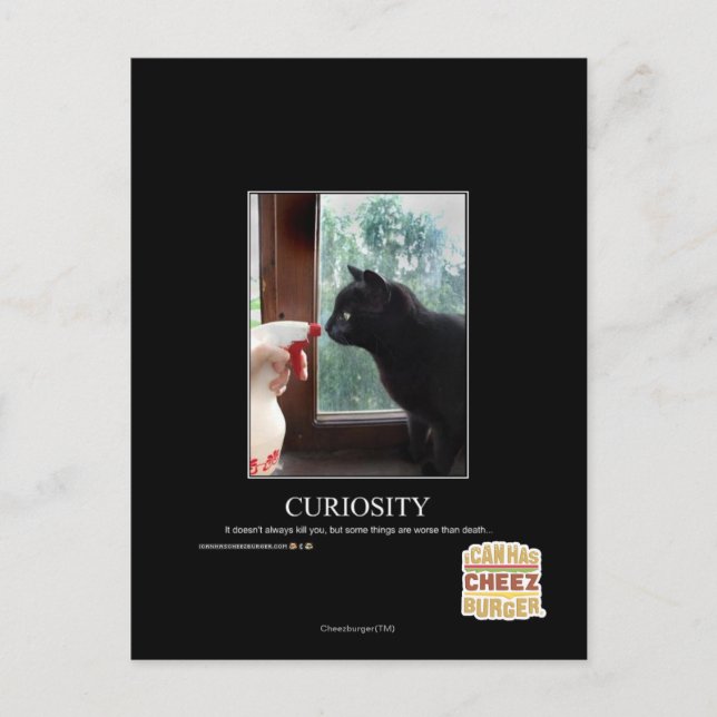Neugier Postkarte (Vorderseite)