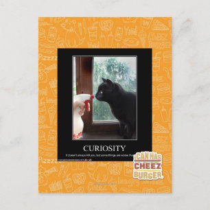 Neugier Postkarte