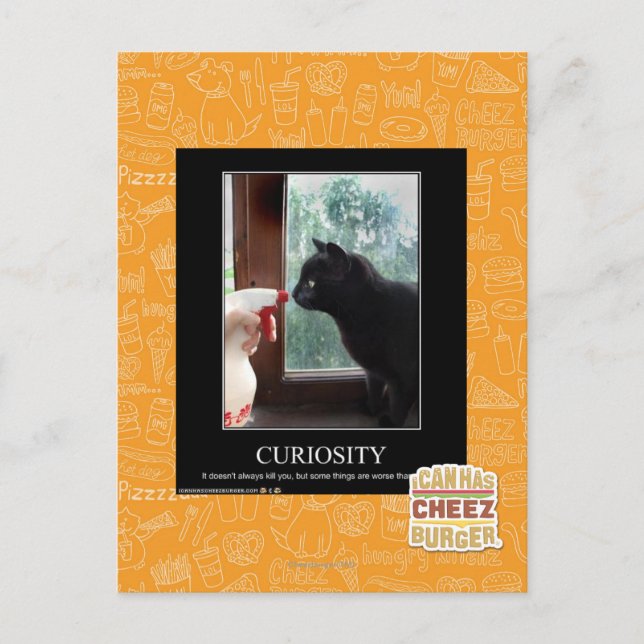 Neugier Postkarte (Vorderseite)
