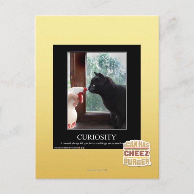 Neugier Postkarte (Vorderseite)