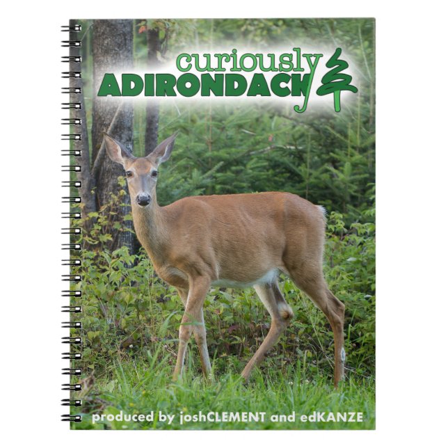 Neugierig Adirondack Anmerkungsbuch (Rotwild) Notizblock (Vorderseite)