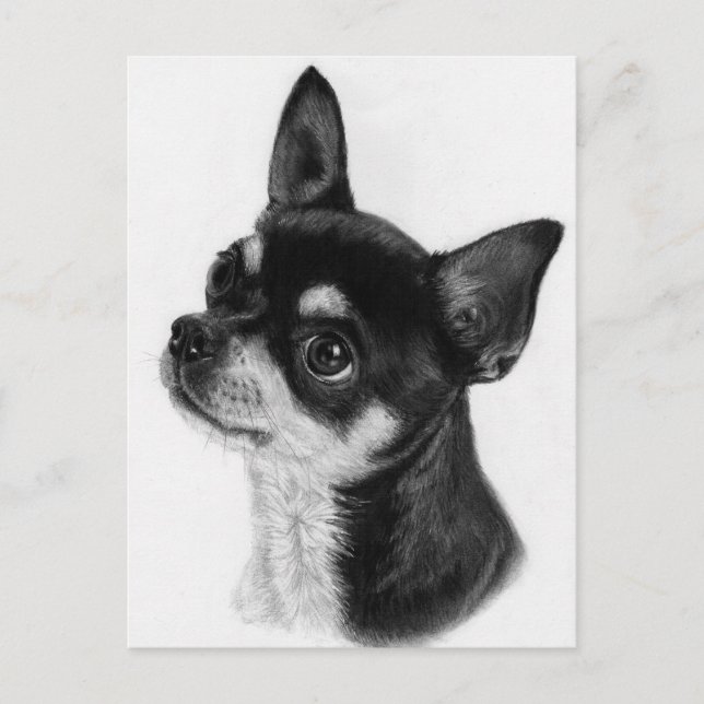 Neugierige Augen - Handgemalt Chihuahua Postkarte (Vorderseite)