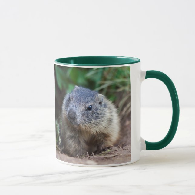 Neugierige Baby Marmot Tasse (Rechts)