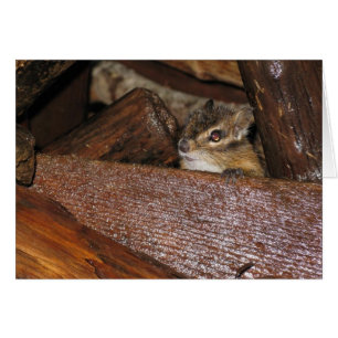 Neugierige Chipmunk-Grußkarte