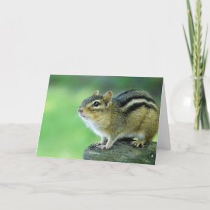 Neugierige Chipmunk-Grußkarte Karte