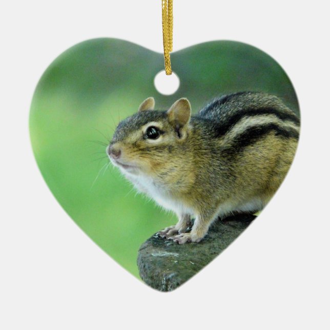 Neugierige Chipmunk-Verzierung Keramik Ornament (Vorne)