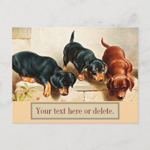Neugierige Dachshund-Welpen Vintage Wiener Hunde Postkarte