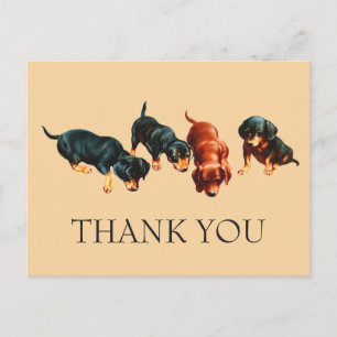 Neugierige Dachshund-Welpen Vintage Wiener Hunde Postkarte