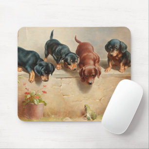 Neugierige Dackel Welpen   Carl Reichert Mousepad