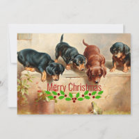 Neugierige Dackel Welpen und Frosch, Weihnachten,