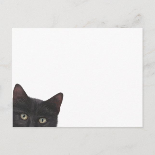 Neugierige, digitale Bilder von Kitty Postkarte (Vorderseite)