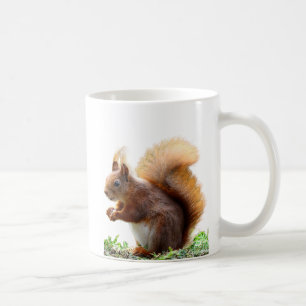 Neugierige Eichhörnchen-Tasse Kaffeetasse