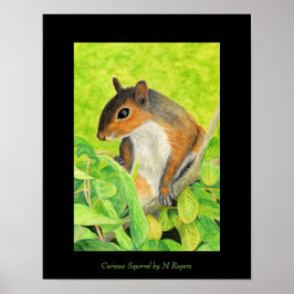 Neugierige Eichhörnchenkunst Poster