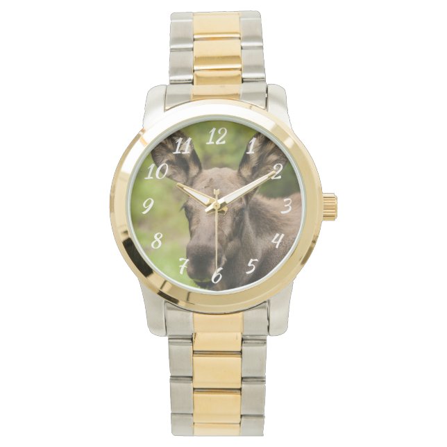 Neugierige Elose Armbanduhr (Vorderseite)