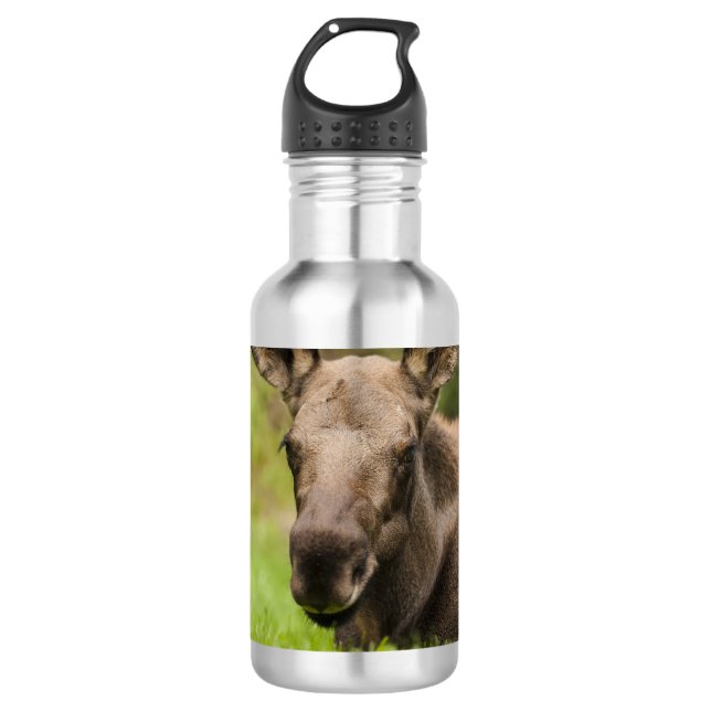Neugierige Elose Edelstahlflasche (Vorderseite)