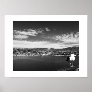 Neugierige Fellow Bird Black and White Fotografy Poster