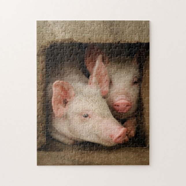 Neugierige Ferkel Puzzle (Vertikal)