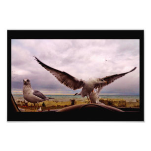 Neugierige Gulden Fotodruck