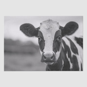 Neugierige Holstein-Kuh Schwarz-Weiß-Decoupage Seidenpapier
