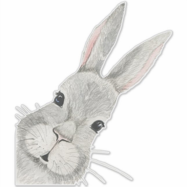 Neugierige Kaninchen-Babyausstattung Aufkleber (Vorderseite)