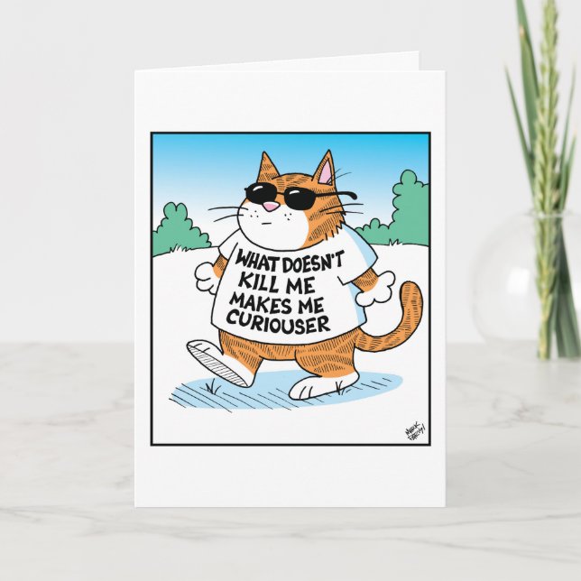 neugierige Katze  Karte (Vorderseite)