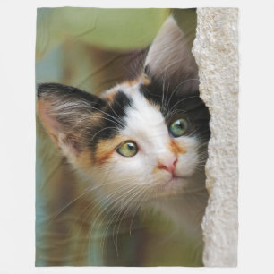 Neugierige Katze Kätzchen mit neugierigen Augen - Fleecedecke