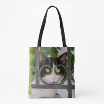 Neugierige Katze mit Spektakeln Funny on Shopper