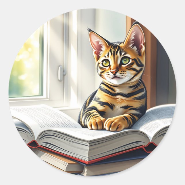 Neugierige Katze und Bücher Runder Aufkleber (Vorderseite)