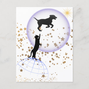 Neugierige Katze und Laufhund Postkarte