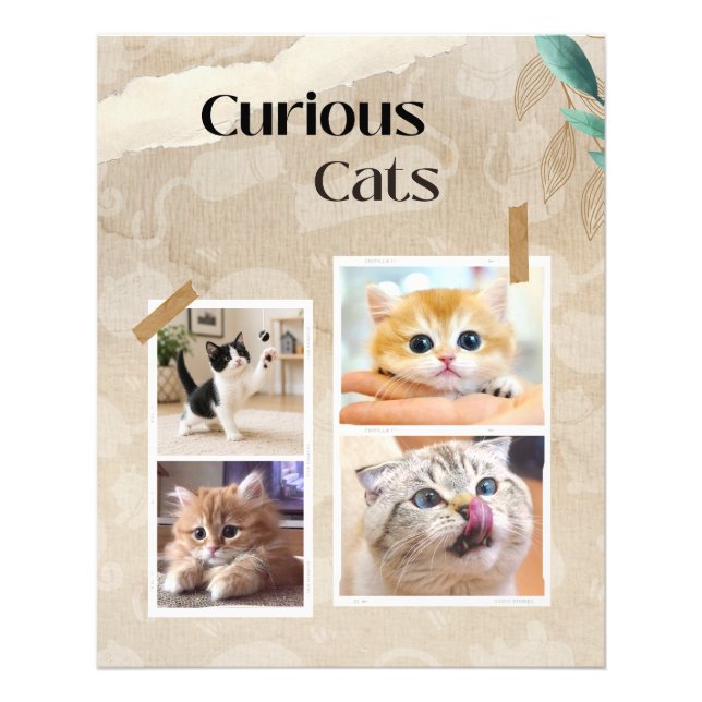 Neugierige Katzen Collage Fotodruck (Vorne)