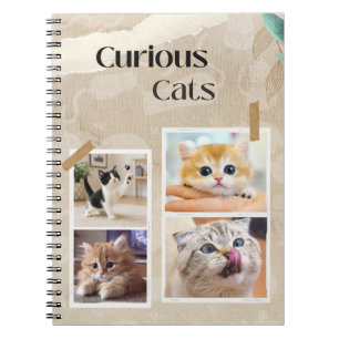 Neugierige Katzen Collage Notizblock