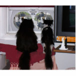 Neugierige Katzen Fotoskulptur Schlüsselanhänger<br><div class="desc">Neugierige Katzen starren heraus das Fenster? an?</div>