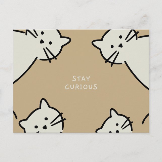 Neugierige Katzen Postkarte (Vorderseite)