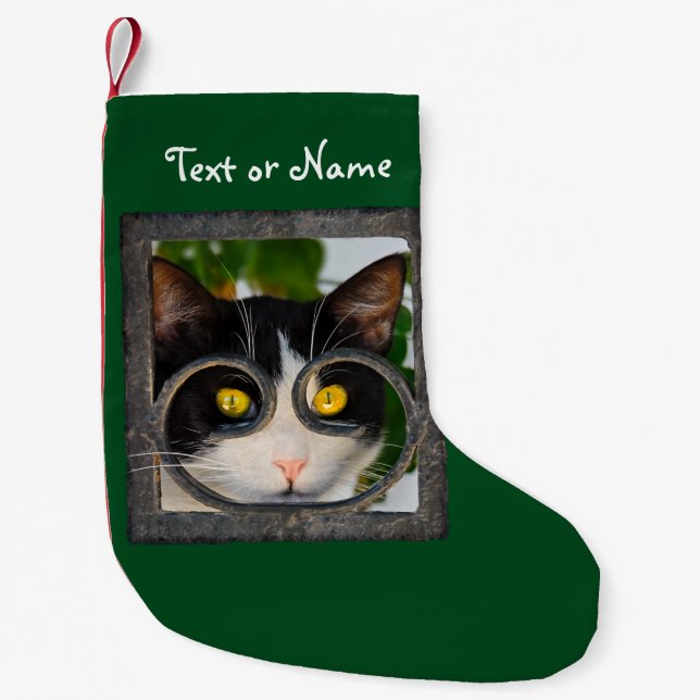 Neugierige Katzenaugen mit Spektakeln Funny Foto Kleiner Weihnachtsstrumpf (Vorderseite)