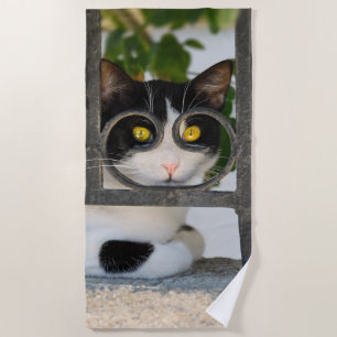 Neugierige Katzenaugen mit Spektakeln Funny Foto Strandtuch