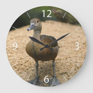 Neugierige kleine Ente Große Wanduhr