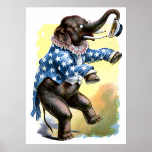 Neugierige Kreaturen - Elefant Poster