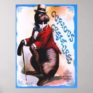 Neugierige Kreaturen - Siegel Poster