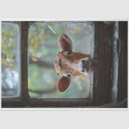 Neugierige Kuh durch eine Fensterdekoupage Seidenpapier