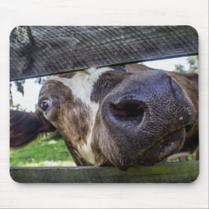 Neugierige Kuh Mousepad