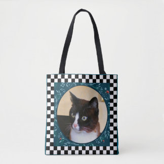 Neugierige Miezekatze-Katze aufpassende