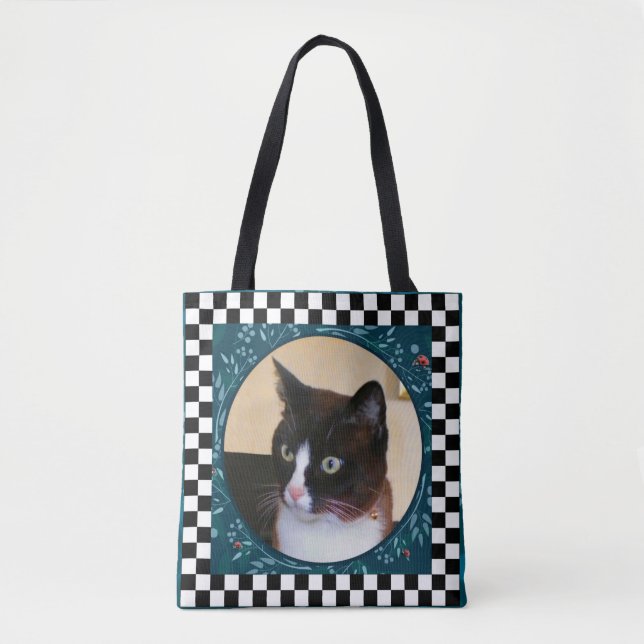 Neugierige Miezekatze-Katze aufpassende (Vorderseite)