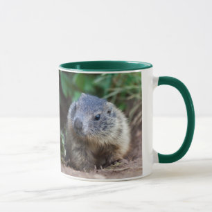 Neugierige Murmelmäppchen-Tasse Tasse